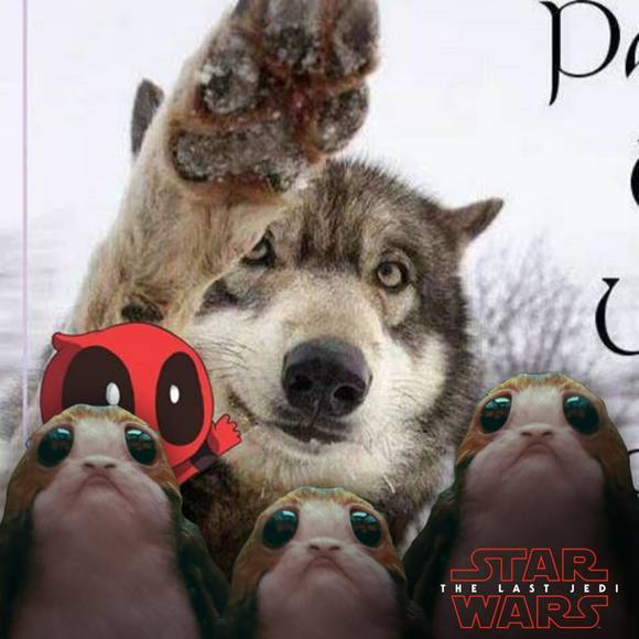 Meet your Posher, James - Picture 1 of 1